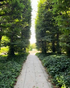 Read more about the article La solitude dans l’appel de Dieu
