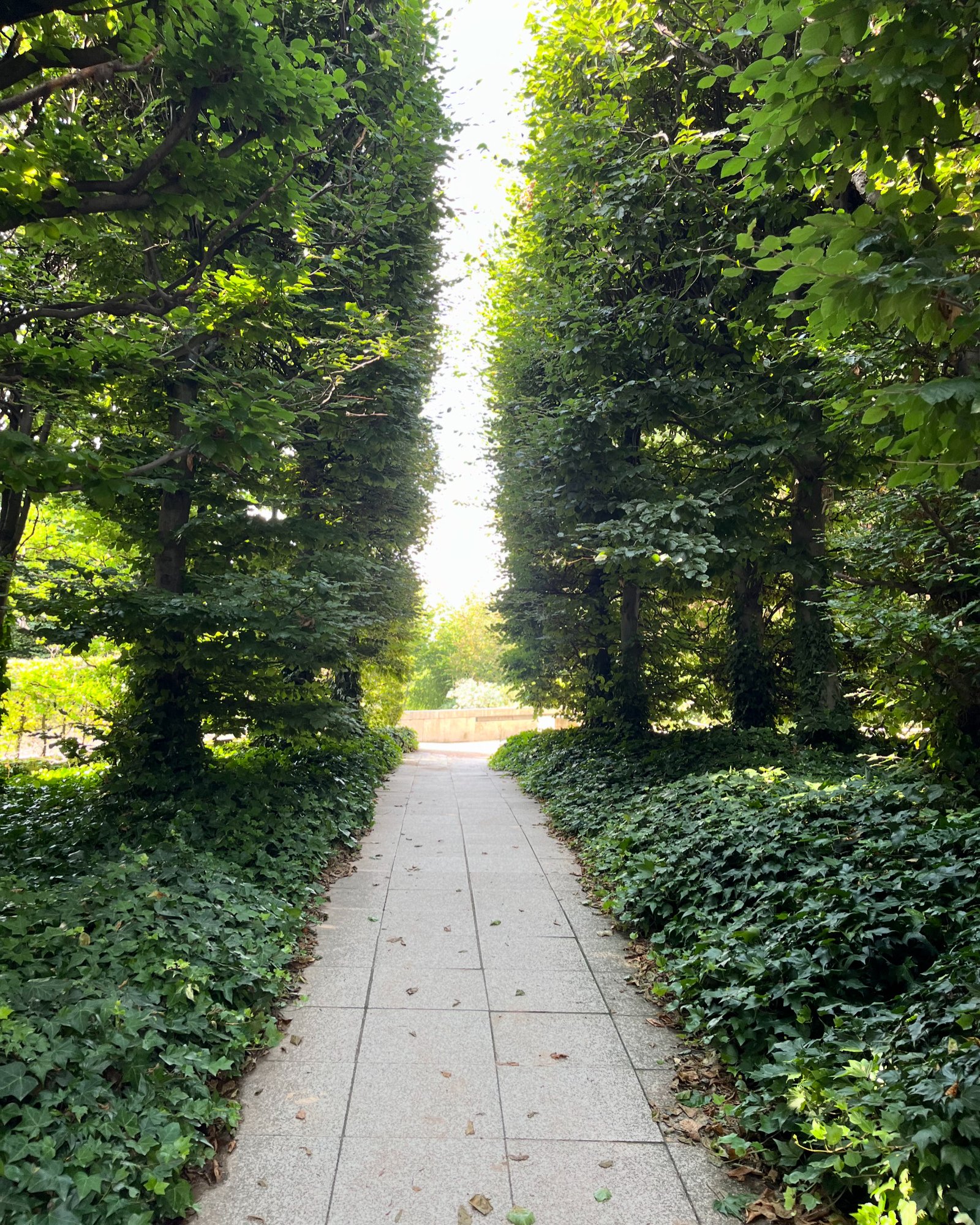 Read more about the article La solitude dans l’appel de Dieu