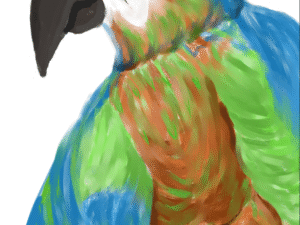 Contemporary design painting – premier oiseau