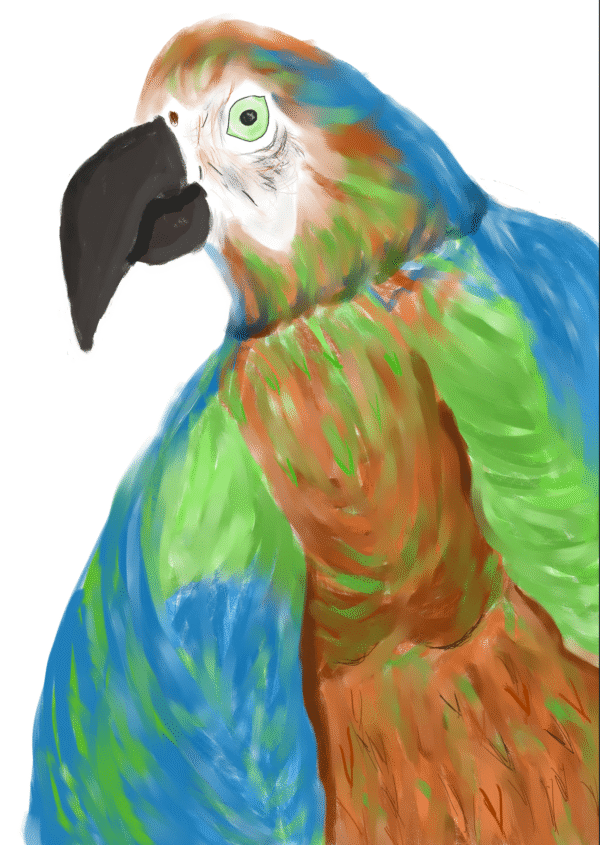 Contemporary design painting - premier oiseau
